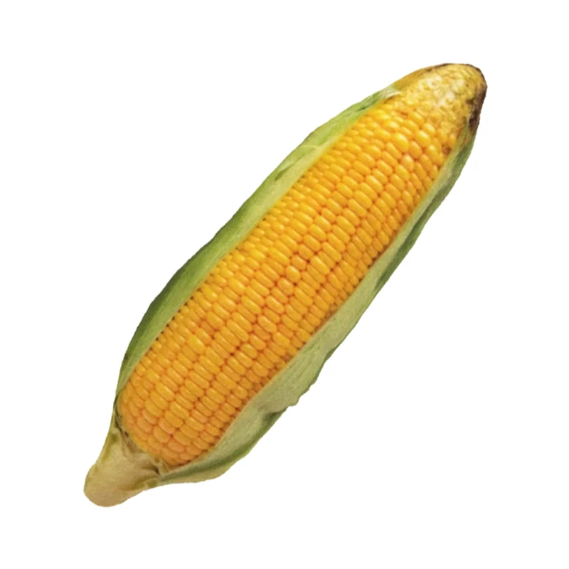 Novelty Squeaky Chew Toy — Fun Bite-Resistant Pet Toy - Image 19
