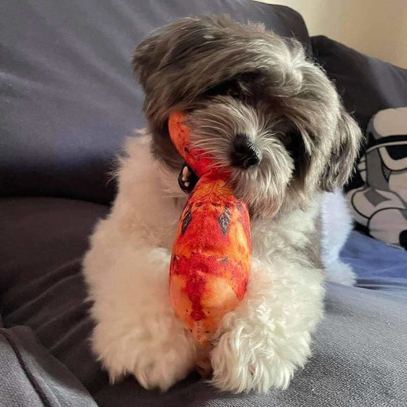 Novelty Squeaky Chew Toy — Fun Bite-Resistant Pet Toy - Image 2