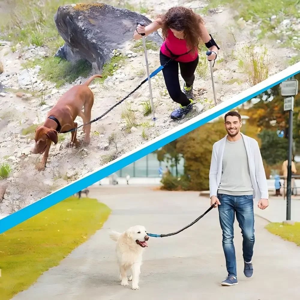 Pet Retractable Belt Leash for Running Reflective Retractable Hand Free Dog Leash with Adjustable Waist Rope for Outdoor Running - Image 3