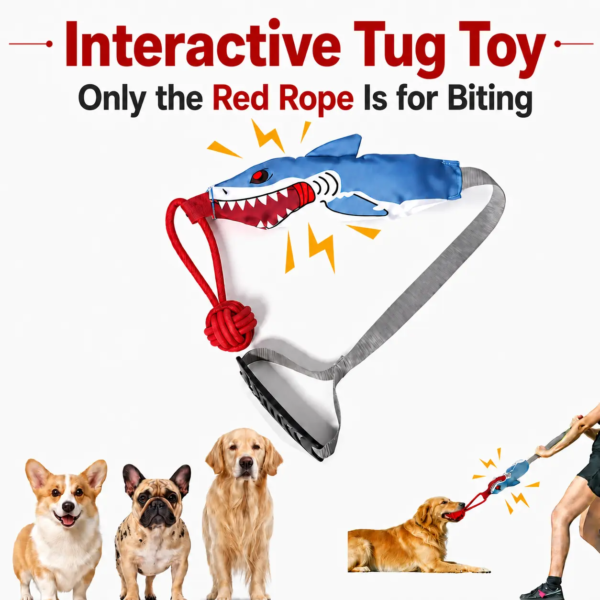 Kawiwi Squeaky Rope Tug Toy — Interactive Play