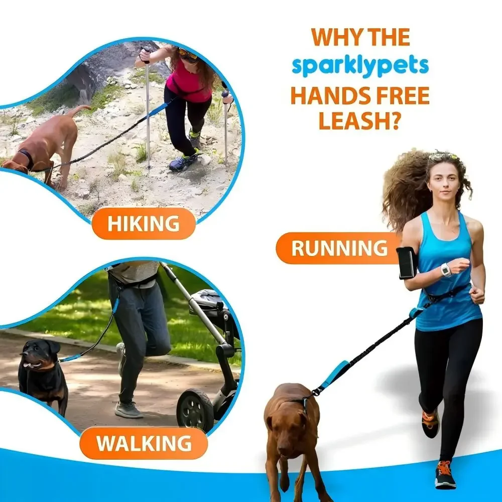 Pet Retractable Belt Leash for Running Reflective Retractable Hand Free Dog Leash with Adjustable Waist Rope for Outdoor Running - Image 5